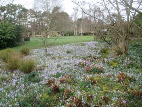 Leicester University Botanic Gardens