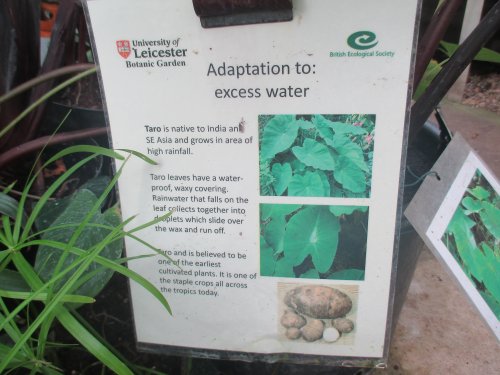 Leicester University Botanic Gardens