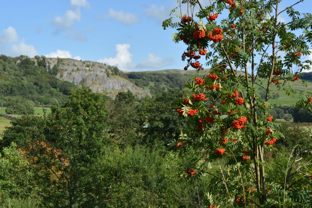  circular walk, Yorkshire Dales