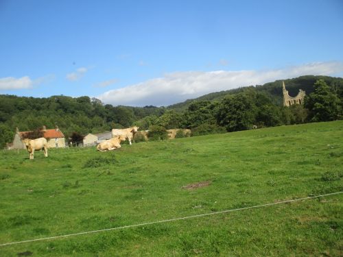 circular walk Byland Abbey Wass Mount Snever Observatory Oldstead