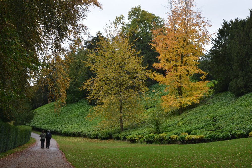 walking through autumn tree leaf colours Studley Royal walks park gardens in Autumn