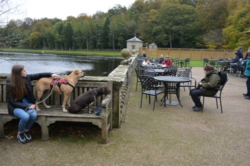 Studley Royal walks park gardens in Autumn