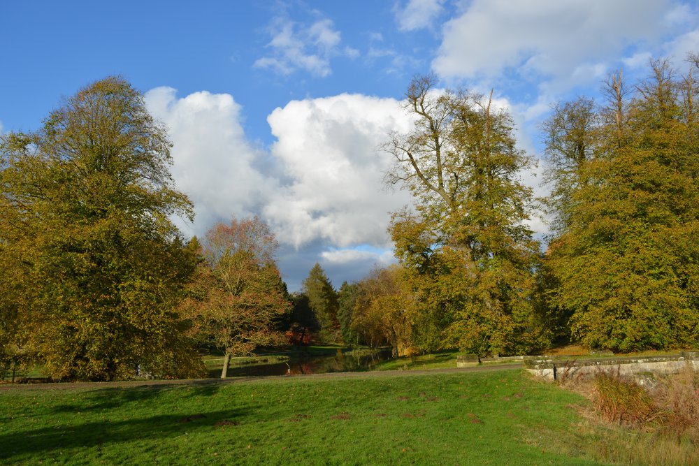 Autumn colours Yorkshire Arboretum