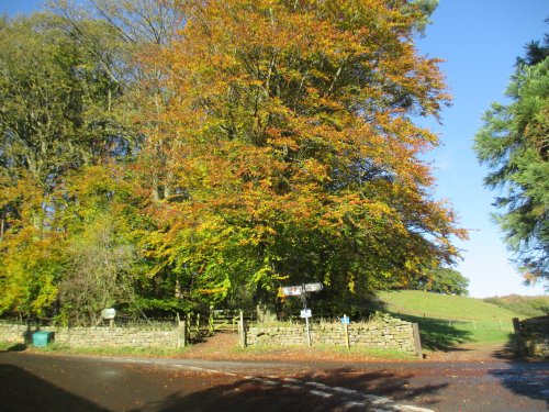 Autumn colours near the entrance to the National Park Centre, the 'Moors Centre' at Danby, North Yorkshire.