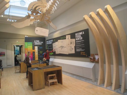 Jurassic Yorkshire Exhibition in the Yorkshire Museum, York in 2019