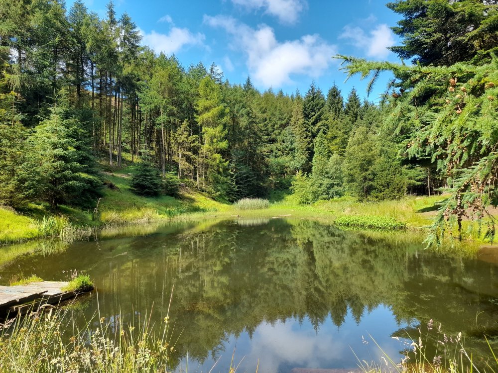 Botton Pond at the head of Danby Dale, North Yorkshire, England