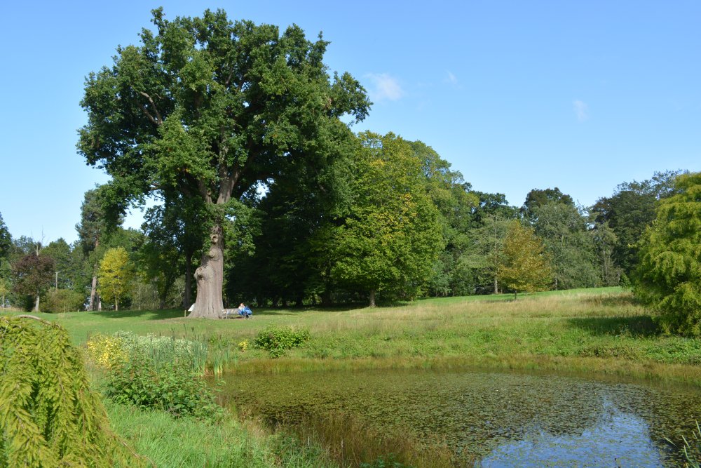 Thorp Perrow Arboretum & Bird of Prey & Mammal Centre, North Yorkshire, England