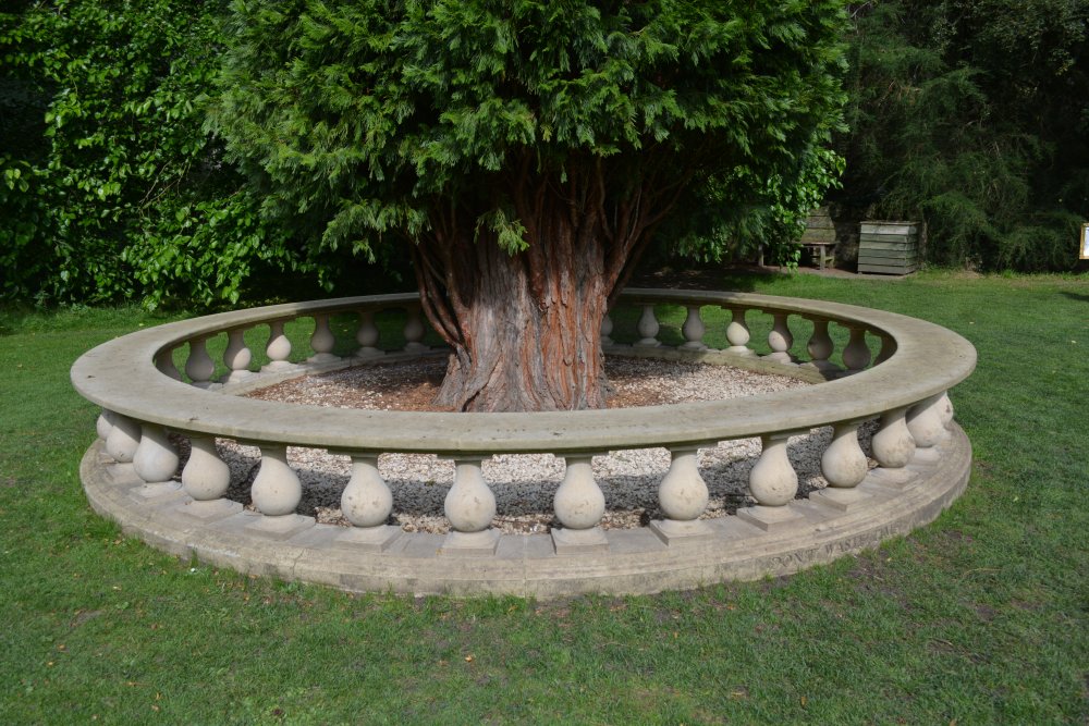 Tree ringed by a balustrade in Thorp Perrow Arboretum & Bird of Prey & Mammal Centre, North Yorkshire, England