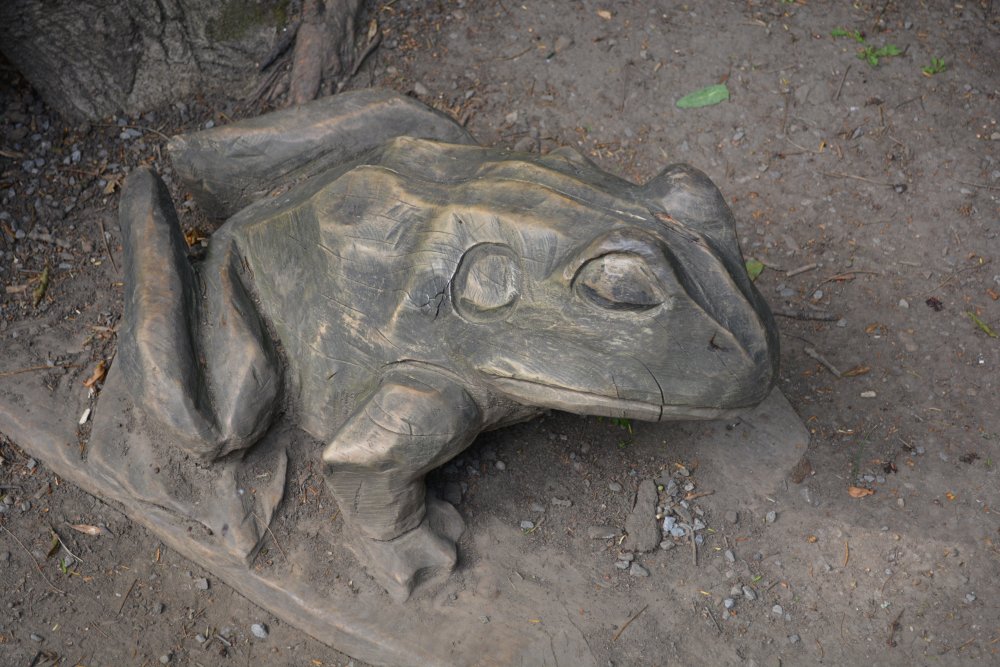 Wooden sculpture of a frog or toad in Thorp Perrow Arboretum & Bird of Prey & Mammal Centre, North Yorkshire, England