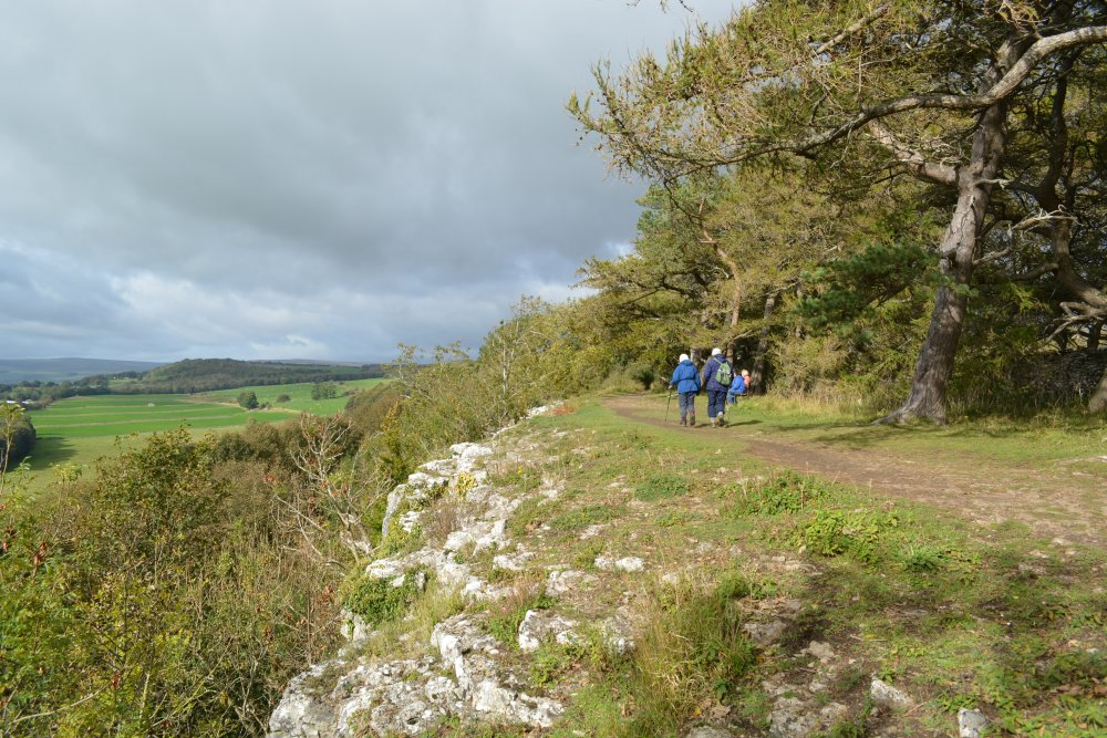 A better view of the limestone escarpment Leyburn Shawl Circular walk, North Yorkshire, England