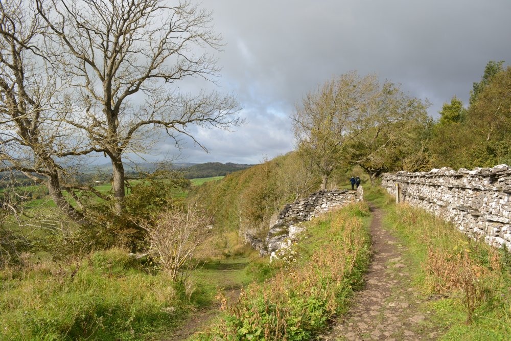 Fine limestone dry walling Leyburn Shawl Circular walk, North Yorkshire, England