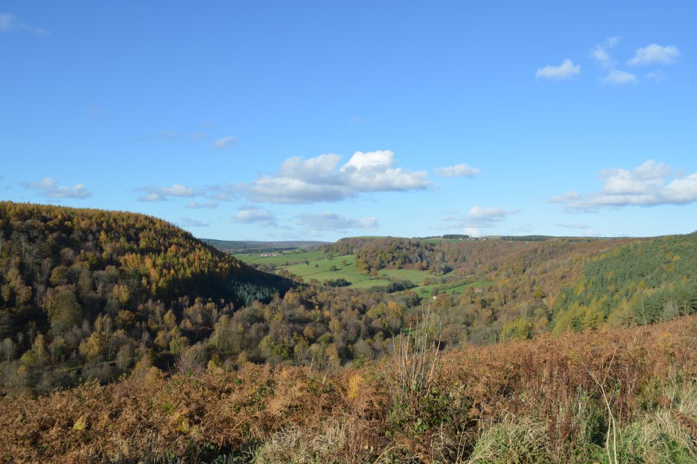 Riccal Dale in Autumn, near Helmsley, North Yorkshire, England