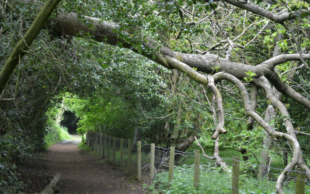 The beautiful enclosed footpath Sennings Lane as you approach Romaldkirk circular walk Cotherstone Romaldkirk River Tees Co. Durham, England