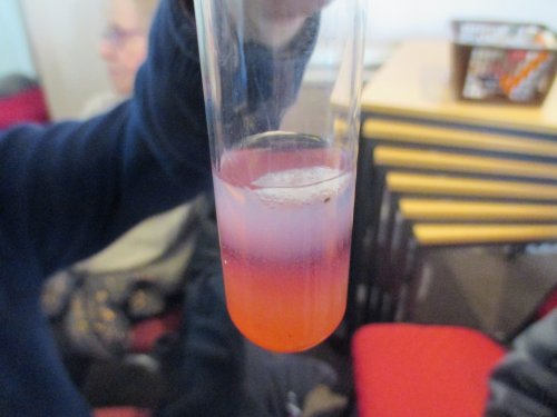 How to extract DNA from a strawberry