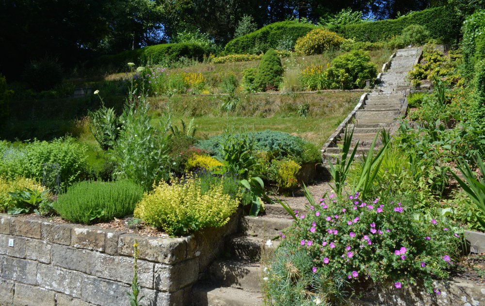 he terraced herb garden, by the cafe at the Danby Moors Centre of the North York Moors National Park