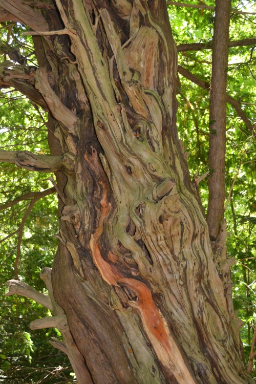 Studley Royal parks and gardens