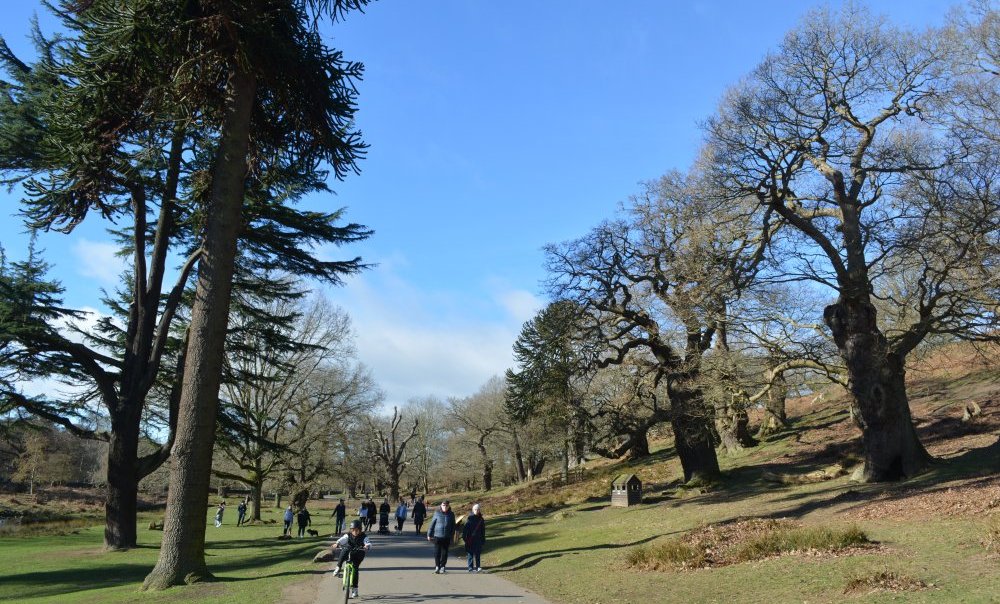 Bradgate Park, Leicester