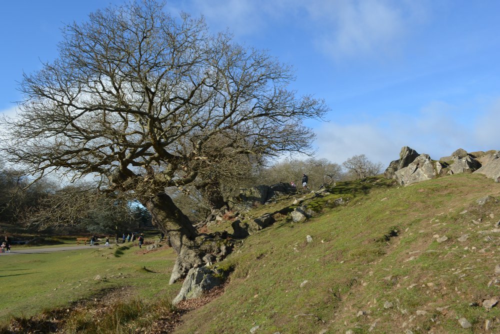 Bradgate Park, Leicester