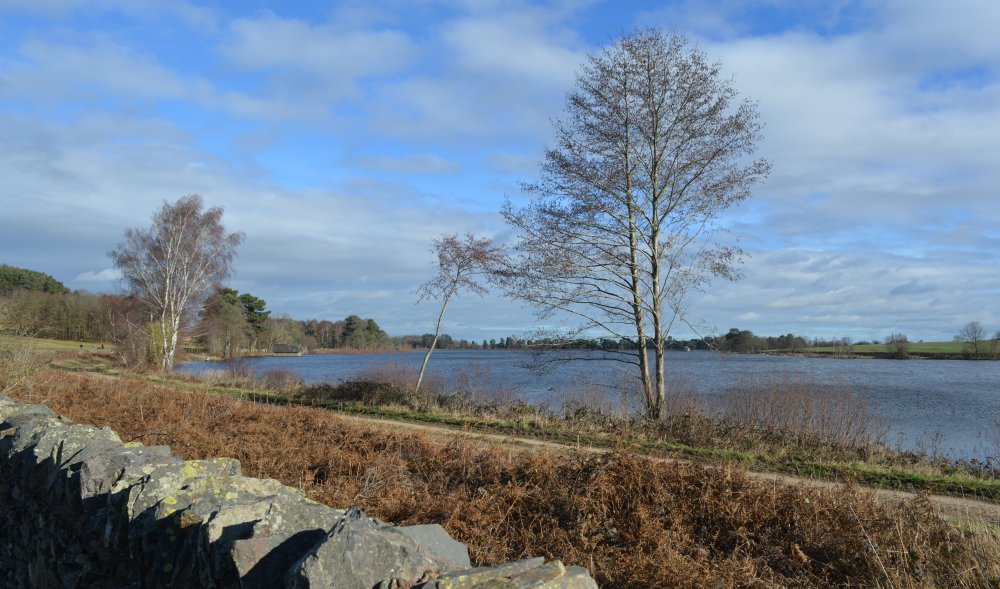 The expanse of Cropston Reservoir in Bradgate Park, Leicester