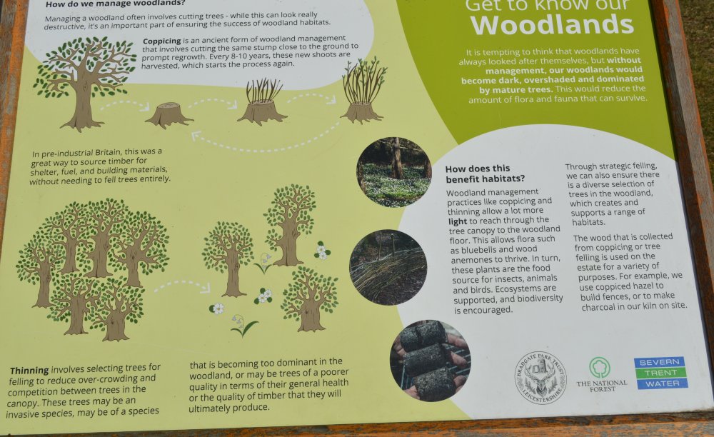 Information board on getting to know the woodlands trees of Bradgate Park, Leicester