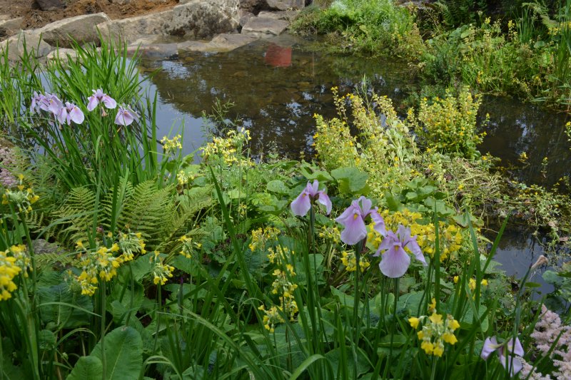 Harlow Carr RHS Gardens
