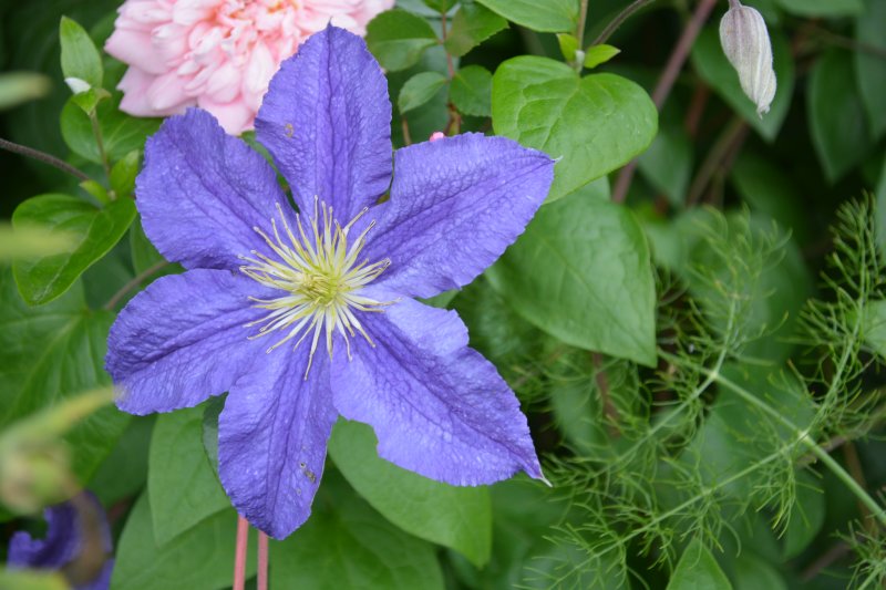 Harlow Carr RHS Gardens