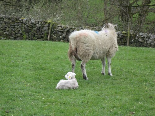  Thwaite, Yorkshire Dales National Park