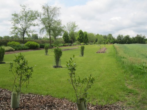 Breezy Knees Gardens, near York, North Yorkshire