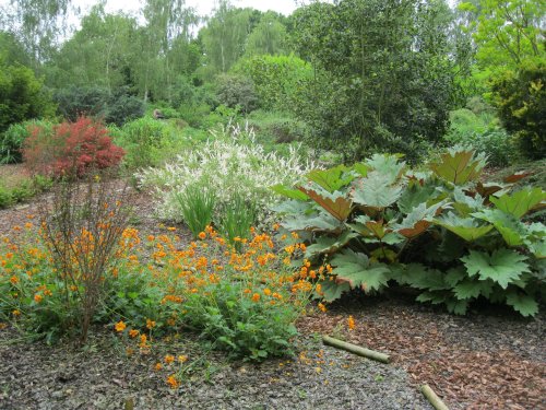 Breezy Knees Gardens, near York, North Yorkshire