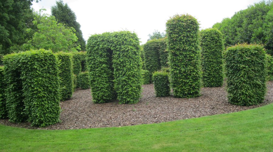 Breezy Knees Gardens, near York, North Yorkshire