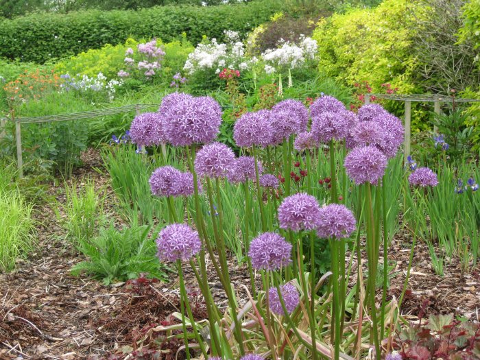 Breezy Knees Gardens, near York, North Yorkshire