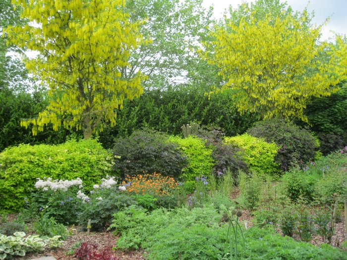 Breezy Knees Gardens, near York, North Yorkshire