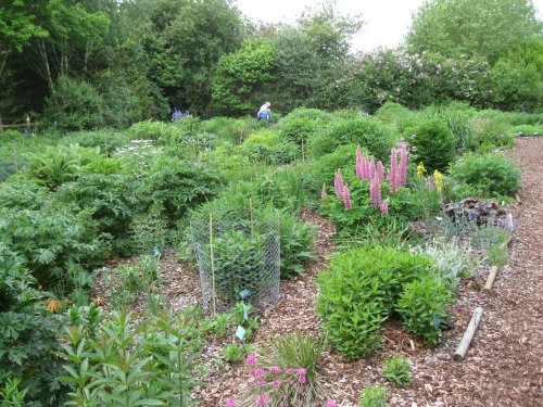 Breezy Knees Gardens, near York, North Yorkshire