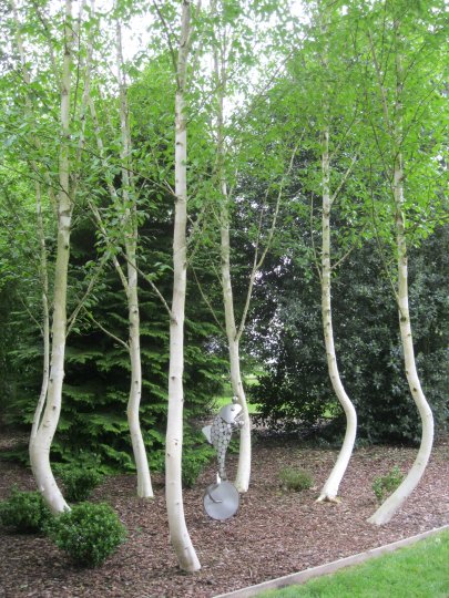 Breezy Knees Gardens, near York, North Yorkshire