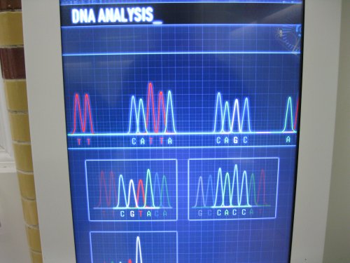 DNA analysis Richard III visitor centre Leicester