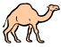 camel.gif