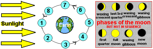 moonphases.gif
