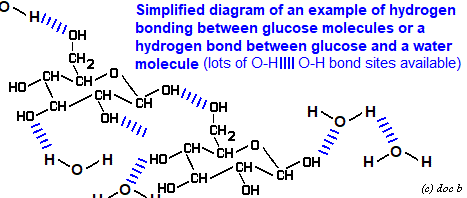 hydrogen bonding betweeen sugar and water molecules