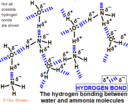 hydrogen bonding between water and ammonia molecules aqueous solution of ammonia