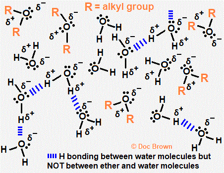 diagram of strong hydrogen bonding between water molecules and the weaker intermolecular forces between water and ether molecules - hence the much lower solubility of ethers in water compared to alcohols