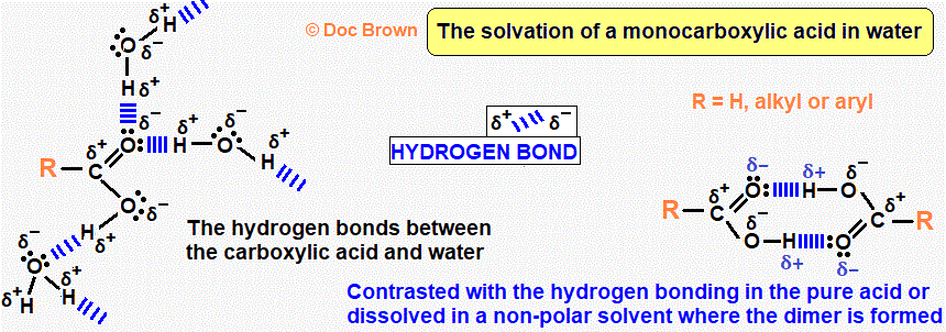 hydrogen bonding between carboxylic acids and water ethanoic acid benzoic acid in aqueous solution advanced organic chemistry revision notes doc brown
