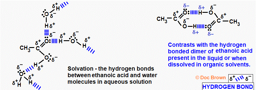 hydrogen bonding solvation of ethanoic acid between water molecules in aqueous solution OR dimer formation liquid/solid ethanoic acid or dissolved in organic solvent