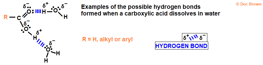 explaining diagram of hydrogen bonding between carboxylic acids dissolved in water aqueous solution advanced organic chemistry