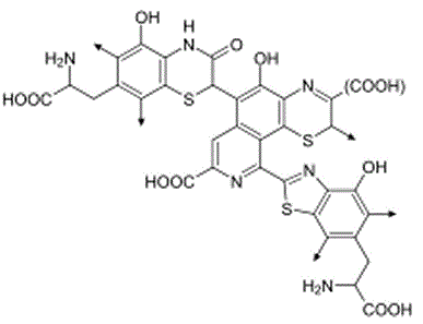molecular structure of the pheomelanin molecule melanin pigment skeletal formula