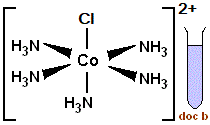 octahedral violet complex chloropentaamminecobalt(III) ion [Co(NH3)5Cl]2+(Cl-)2